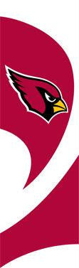 TTAC Cardinals Tall Team Flag with pole