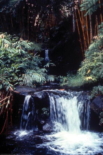 Tropical Waterfall 20x30 poster