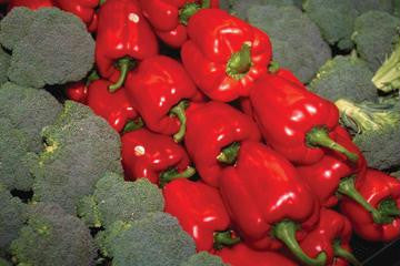 Red Peppers 20x30 poster