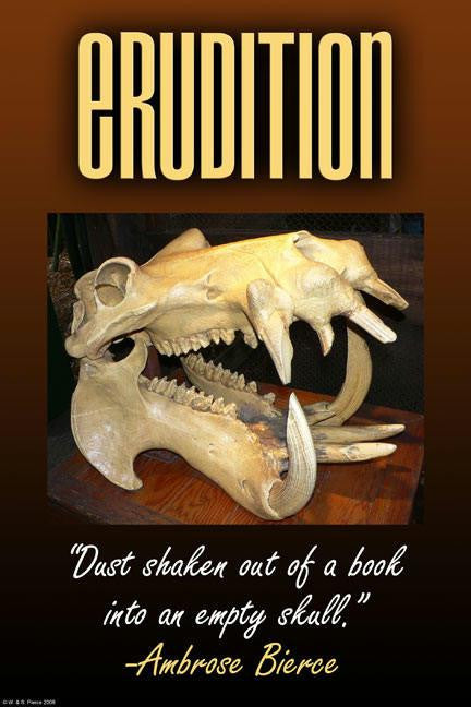 Erudition 20x30 poster