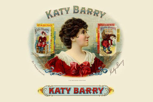 Katy Barry 20x30 poster