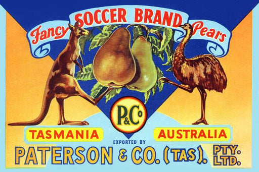 Fancy Soccer Brand Pears 20x30 poster