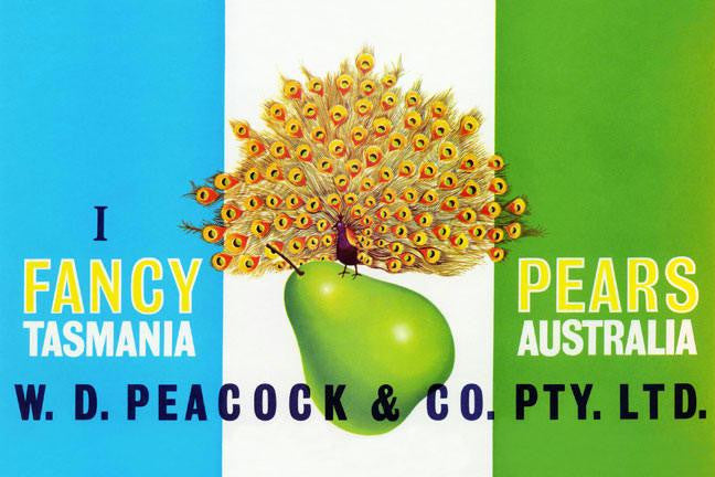 Peacock Pears 20x30 poster