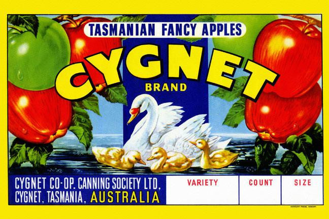 Cygnet Tasmanian Fancy Apples 20x30 poster