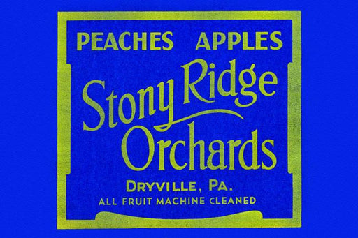 Stony Ridge Orchards Peaches & Apples 20x30 poster