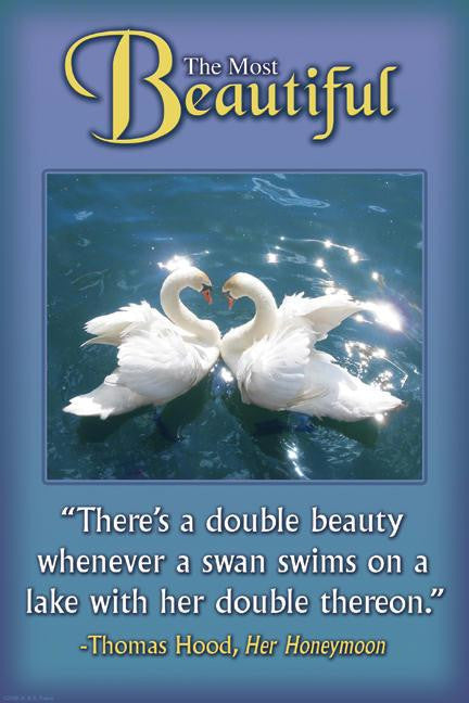 Double Beauty 20x30 poster