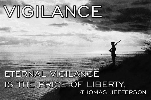 Vigilance 20x30 poster