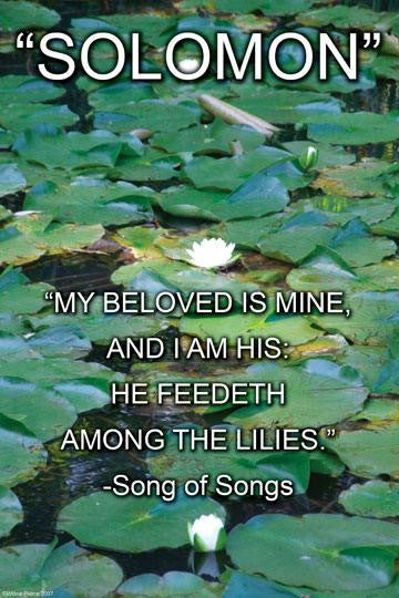 Solomon - Song of Songs 20x30 poster