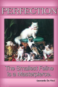 Perfection; The Smallest Feline is a Masterpiece 20x30 poster