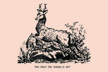 The Dog! Oh, Where is he? 20x30 poster