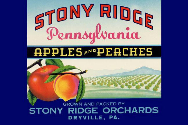 Stony Ridge Pennsylvania Apples and Peaches 20x30 poster