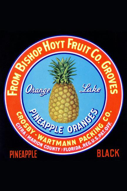 Orange Lake Pineapple Oranges 20x30 poster