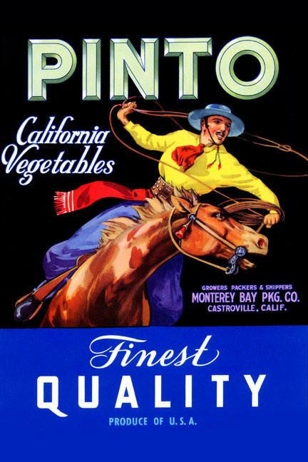 Pinto Califonia Vegetables 20x30 poster