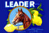 Leader Lemons 20x30 poster