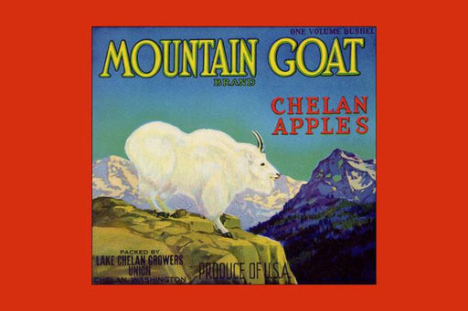 Mountain Goat Chelan Apples 20x30 poster