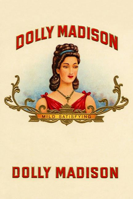 Dolly Madison - Mild Satisfying 20x30 poster