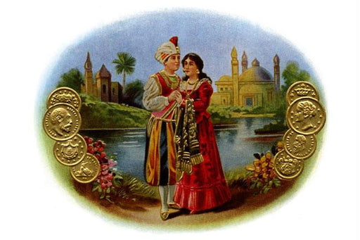 Indian Lovers 20x30 poster