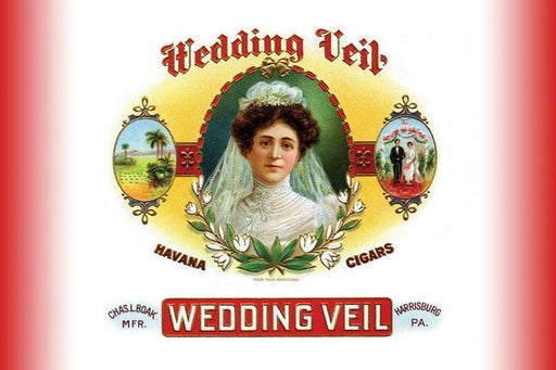 Wedding Veil 20x30 poster