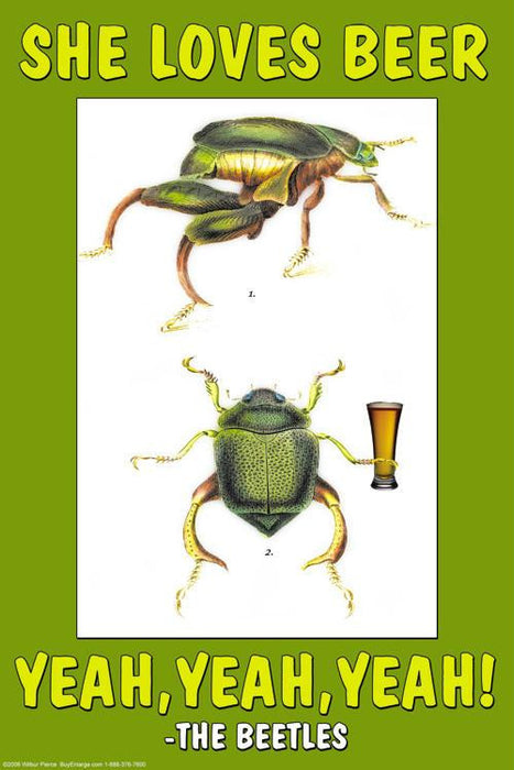 She Loves Beer, yeah, yeah, yeah - The Beetles 20x30 poster