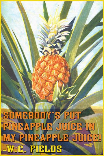 Somebody put Pineapple juice in my pineapple juice 20x30 poster