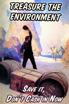 Treasure the Environment 20x30 poster