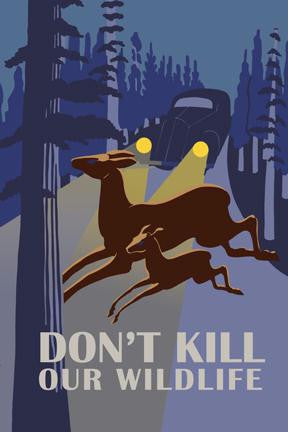 Dont Kill Our Wildlife 20x30 poster