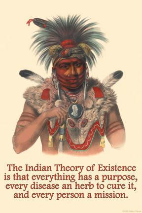 Indian Theory of Existence 20x30 poster