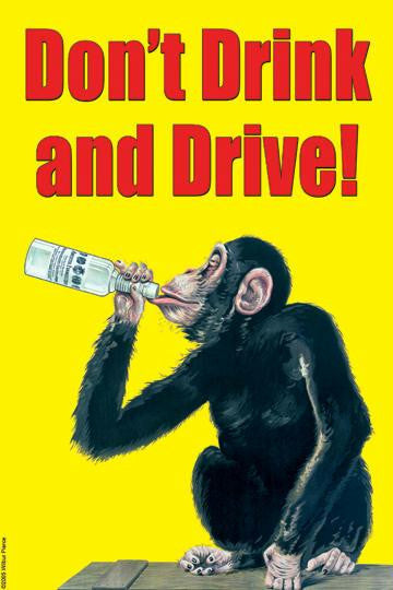 Dont Drink And Drive 20x30 poster