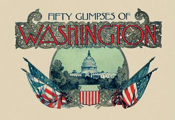 Glimpses of Washington D.C. 20x30 poster