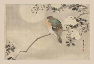 Bird and Cherry Blossoms 20x30 poster