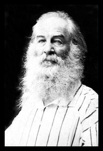 Walt Whitman 20x30 poster