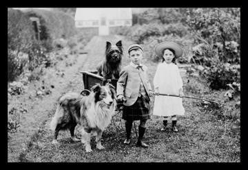 Boy and Girls with Two Dogs and a Wagon 20x30 poster