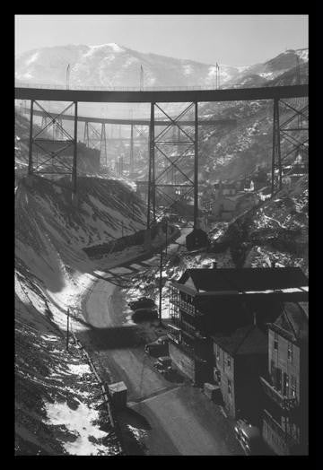 Carr Fork Canyon, as seen from the G Bridge 20x30 poster