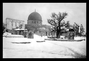 Snow in Jerusalem at the Mosque 20x30 poster