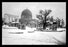 Snow in Jerusalem at the Mosque 20x30 poster