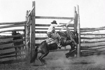 Bronco Busting 20x30 poster