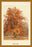 The Beech Tree 20x30 poster