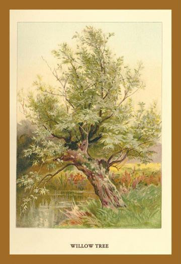 Willow Tree 20x30 poster