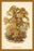 Sweet Chestnut 20x30 poster