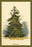 Spruce Fir Tree 20x30 poster