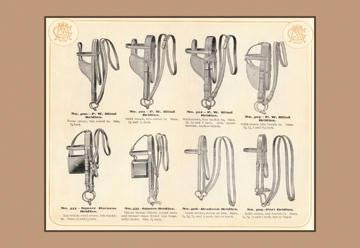 Eight Bridles 20x30 poster