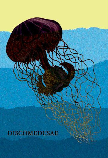 Jellyfish: Discomedusae #1 20x30 poster