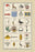 Heraldic Symbols - Banner, Cameleopard et al. 20x30 poster