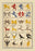 Heraldic Charges - Passant Gardan, Rampart, et al. 20x30 poster