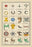 Heraldic Charges - Mullet, Estoile, et al. 20x30 poster