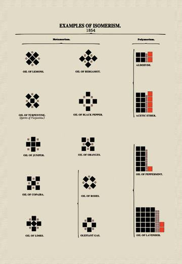 Examples of Isomerism 20x30 poster