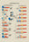 Composition of Salts 20x30 poster