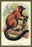 The Red-Ruffed Lemur 20x30 poster