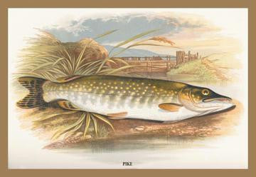 Pike 20x30 poster