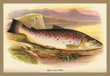 Great Lake Trout 20x30 poster